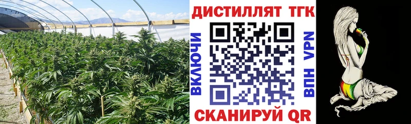 дарнет шоп Уфа ТГК жижа