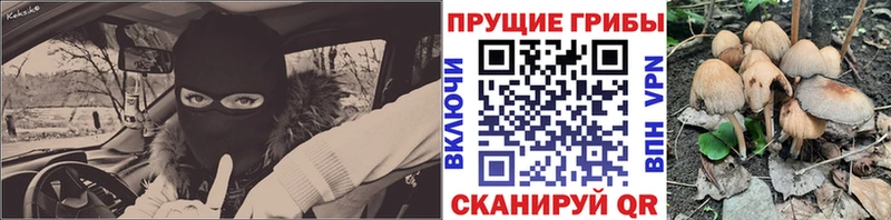 Псилоцибиновые грибы MAGIC MUSHROOMS где можно купить Уфа