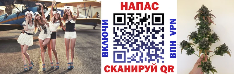 Бошки Шишки тримм  Уфа 